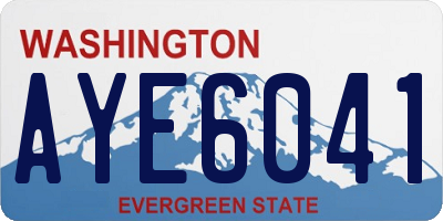 WA license plate AYE6041