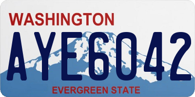 WA license plate AYE6042