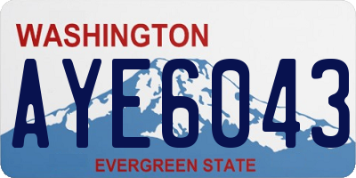 WA license plate AYE6043