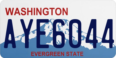 WA license plate AYE6044