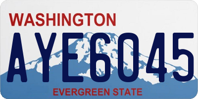 WA license plate AYE6045