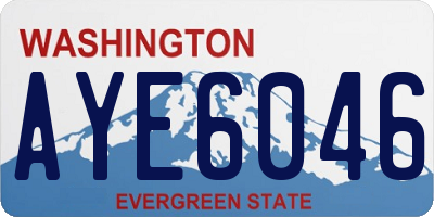 WA license plate AYE6046