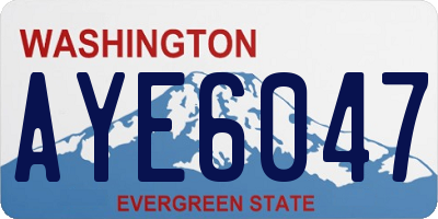 WA license plate AYE6047