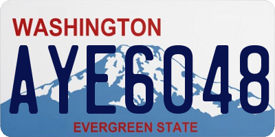 WA license plate AYE6048