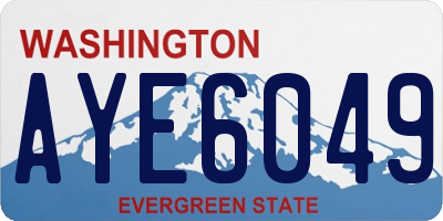 WA license plate AYE6049