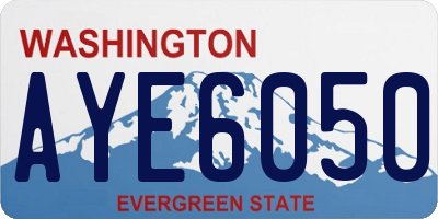 WA license plate AYE6050