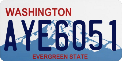 WA license plate AYE6051