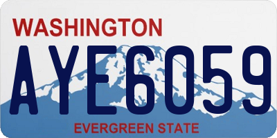 WA license plate AYE6059