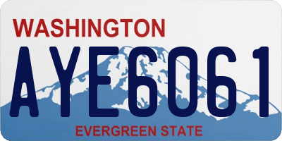 WA license plate AYE6061