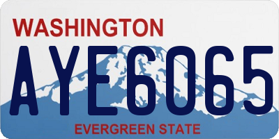 WA license plate AYE6065