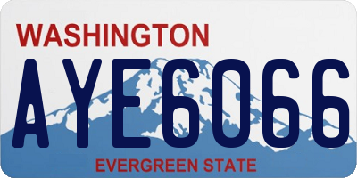 WA license plate AYE6066