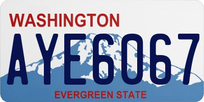 WA license plate AYE6067