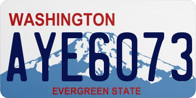 WA license plate AYE6073