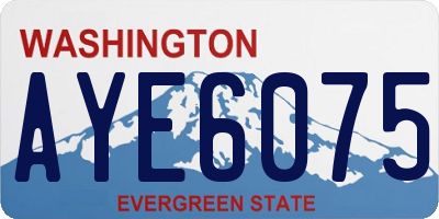 WA license plate AYE6075