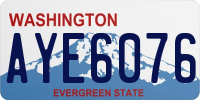 WA license plate AYE6076