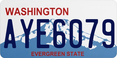 WA license plate AYE6079