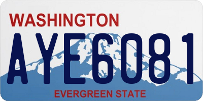 WA license plate AYE6081