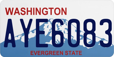 WA license plate AYE6083