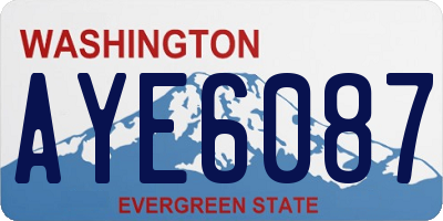 WA license plate AYE6087