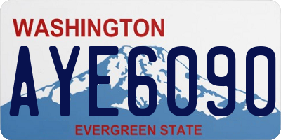 WA license plate AYE6090