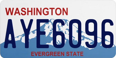 WA license plate AYE6096