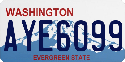 WA license plate AYE6099