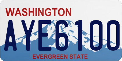 WA license plate AYE6100