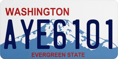 WA license plate AYE6101