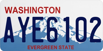 WA license plate AYE6102