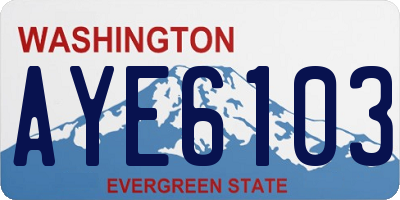 WA license plate AYE6103