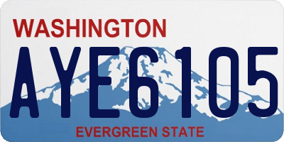 WA license plate AYE6105