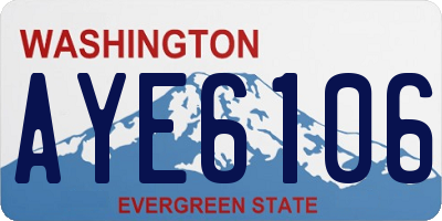 WA license plate AYE6106