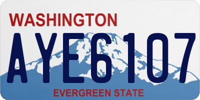 WA license plate AYE6107