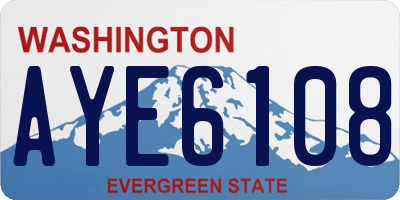 WA license plate AYE6108