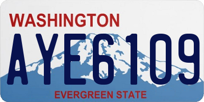 WA license plate AYE6109