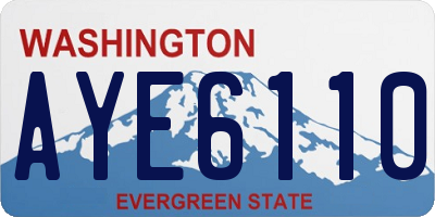 WA license plate AYE6110