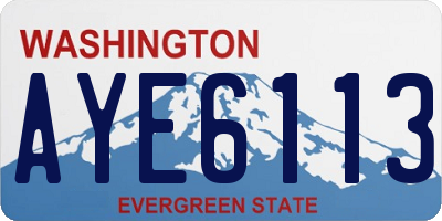 WA license plate AYE6113