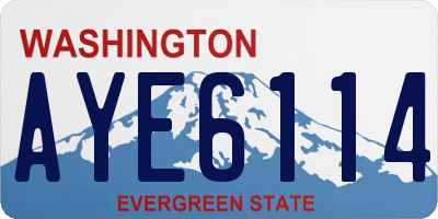 WA license plate AYE6114