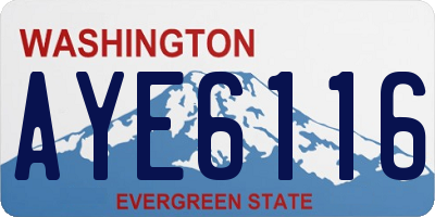 WA license plate AYE6116