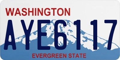 WA license plate AYE6117