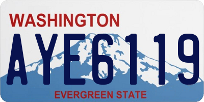 WA license plate AYE6119