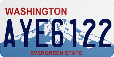 WA license plate AYE6122