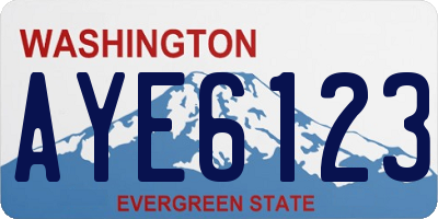 WA license plate AYE6123