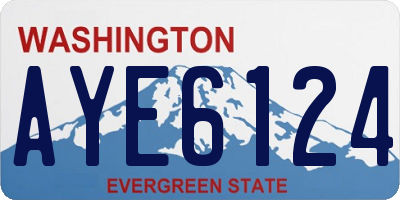 WA license plate AYE6124