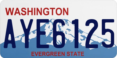 WA license plate AYE6125