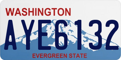 WA license plate AYE6132