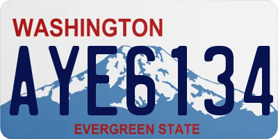 WA license plate AYE6134