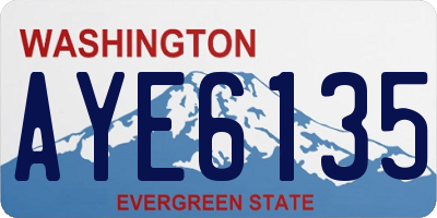 WA license plate AYE6135