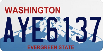 WA license plate AYE6137