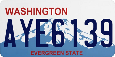 WA license plate AYE6139